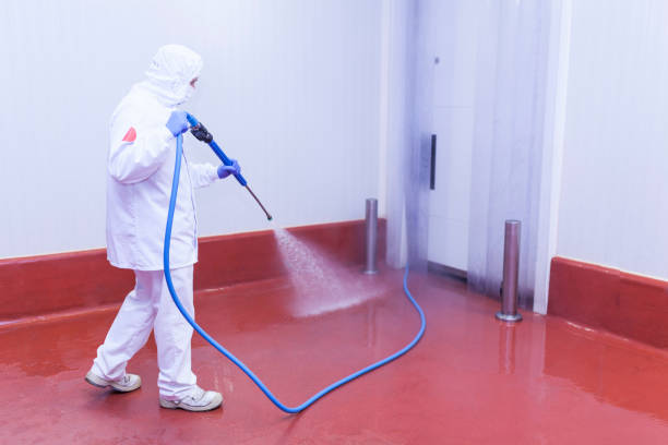 Professional  Pressure Washing Services in Budd Lake, NJ